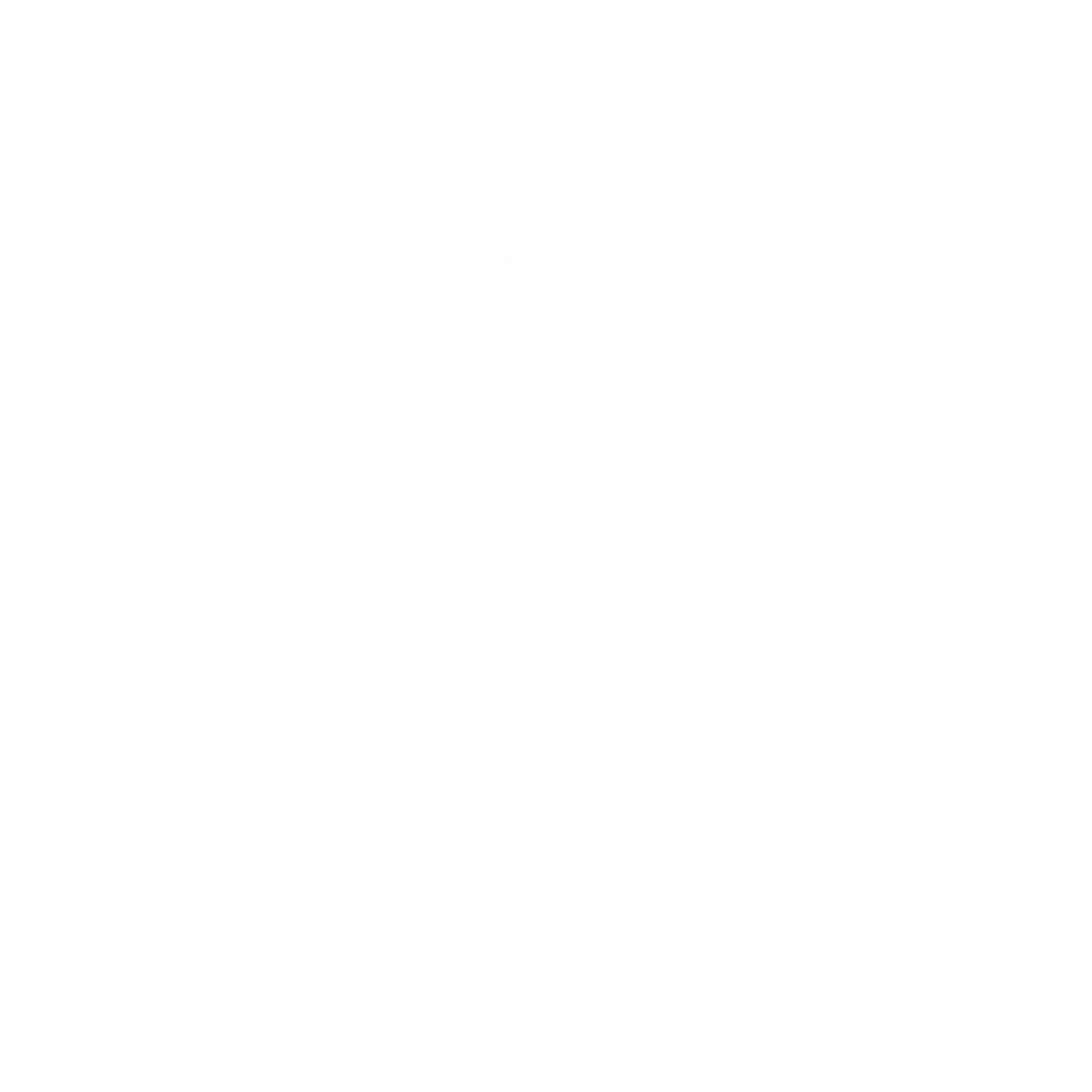 Alyus Defence & Gunstocks